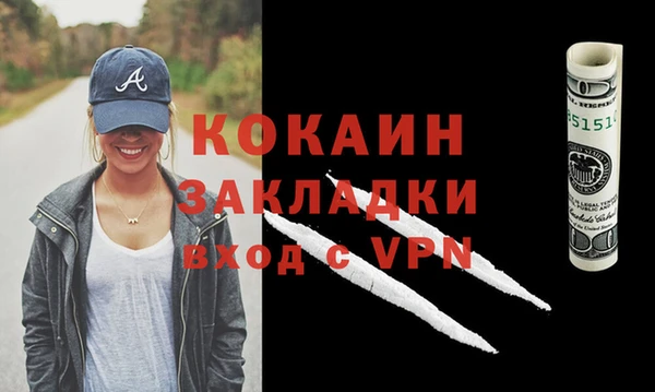дурь Бородино