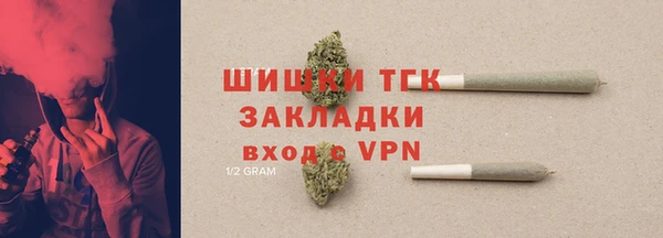 дурь Бородино