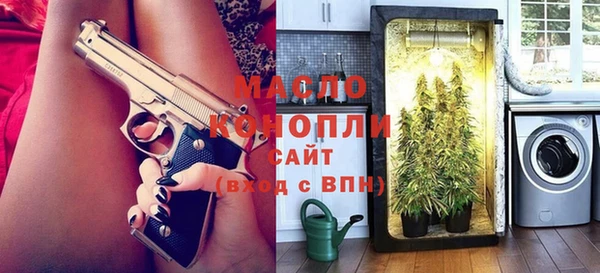 дурь Бородино