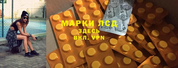дурь Бородино